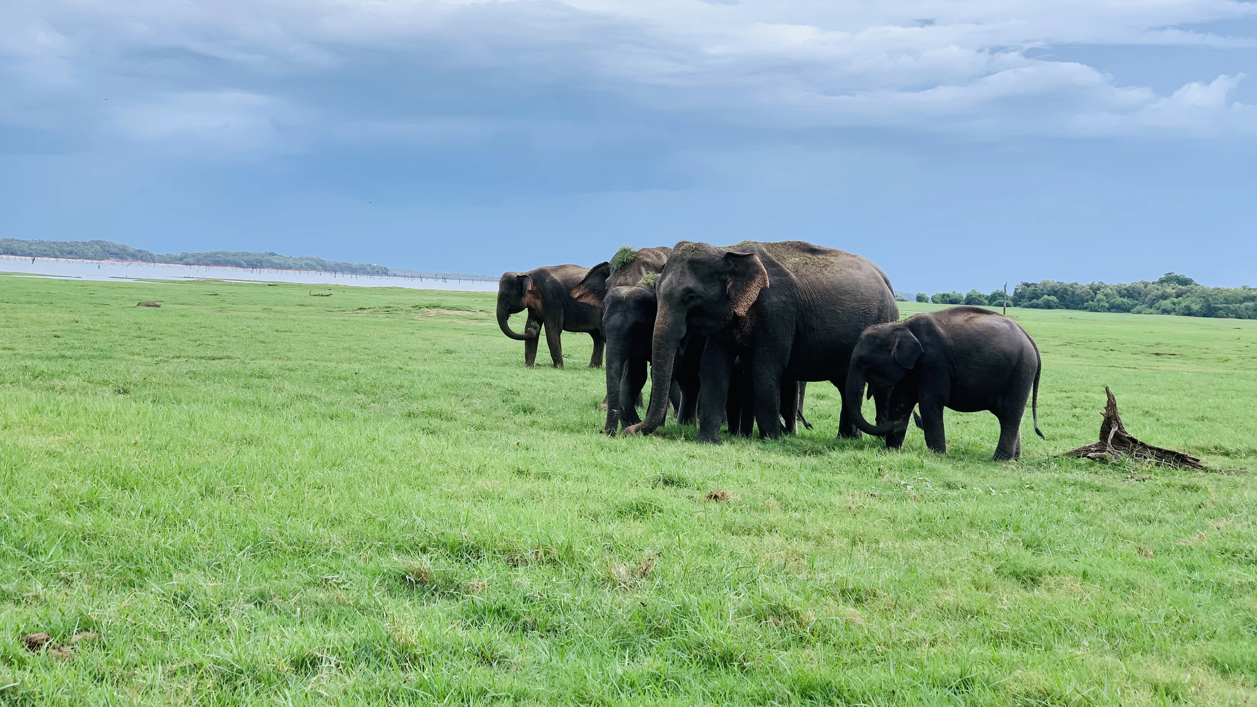 Kaudulla National Park