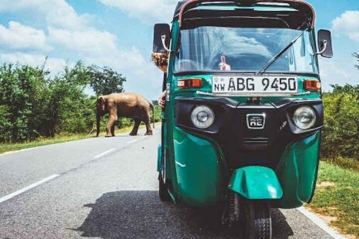 Tuk Tuk Tour
